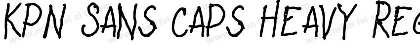 KPN Sans Caps Heavy Regular字体转换